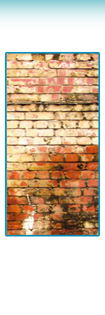 Damp properties - Bridgend, Cardiff, Rhondda, Swansea,Newport, South Wales - Stonedry Damp Proofing